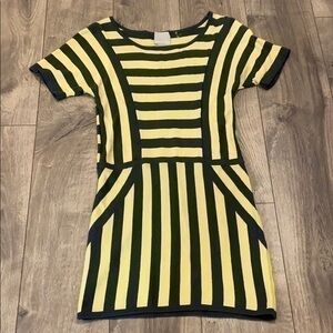 Evolution Cyrus sweater dress